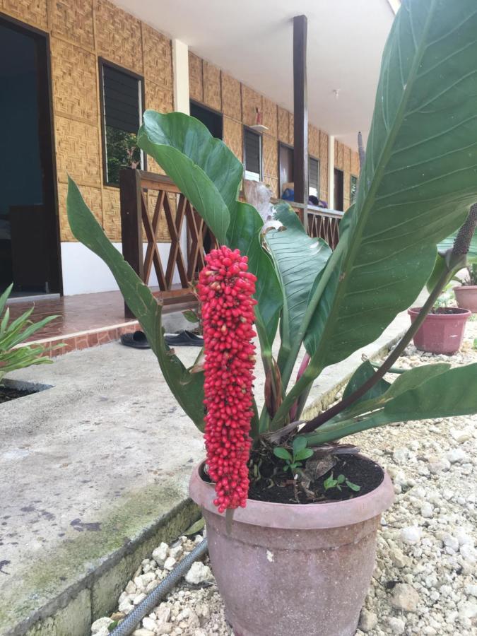 Panglao Rainbow Inn Tagbilaran Zewnętrze zdjęcie